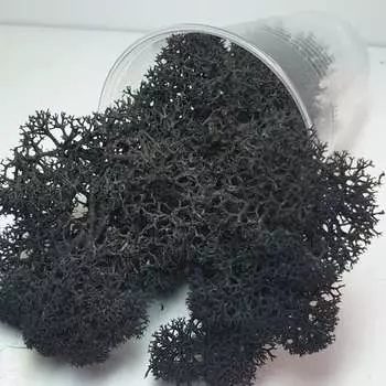 Ягель стабилизированный черный, ResinArt