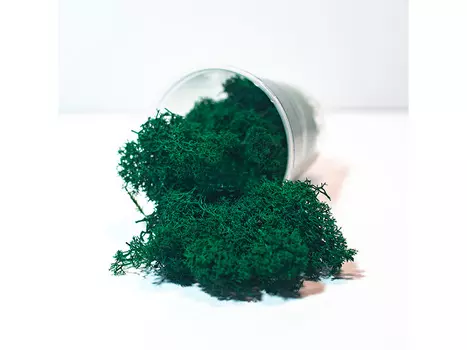 Ягель стабилизированный изумрудный, ResinArt