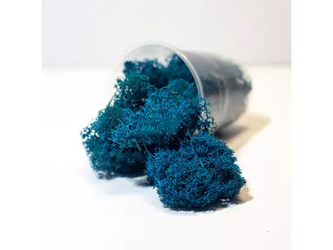 Ягель стабилизированный морская волна, ResinArt