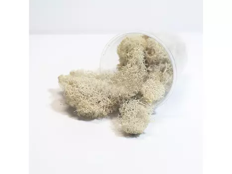 Ягель стабилизированный натуральный, ResinArt