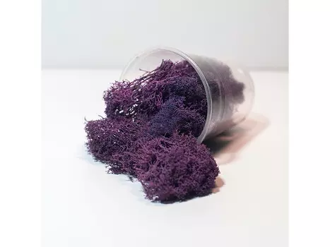 Ягель стабилизированный сиреневый, ResinArt