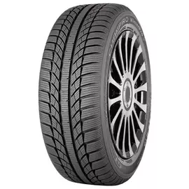 Шины 225/55 R16 GT Radial Champiro Winterpro 95H