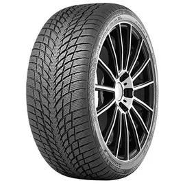 Шины 255/40 R19 Nokian WR Snowproof P 100V XL