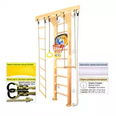 Домашний спортивный комплекс Kampfer Wooden Ladder Wall Basketball Shield