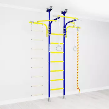 Домашний спортивный комплекс "Romana R6" синяя слива