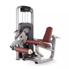 Разгибание ног сидя BRONZE MV-014