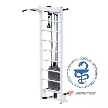 Реабилитационный тренажер ARMS AR068 Аэрокинг