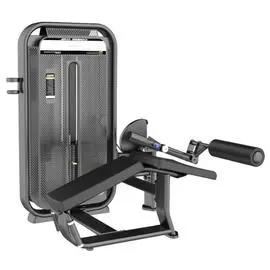 Сгибание ног лежа DHZ Prone Leg Cur Стек 110 кг E-7001