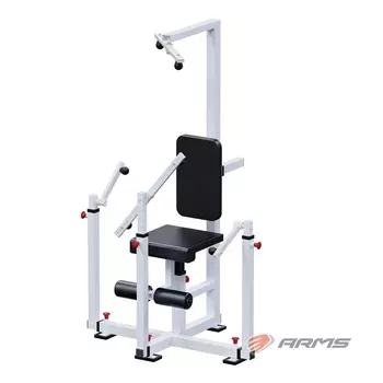 Тренажер для инвалидов ARMS ТИРЛ РУЛИ