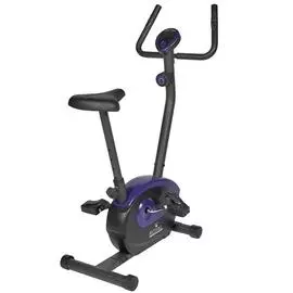 Велотренажер Royal Fitness RF-10, Арт. RFIB-10