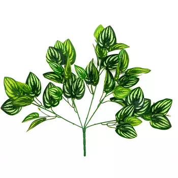 Аглаонема искусственная