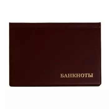 Альбом для бон 125 х 185 мм calligrata, на 16 банкнот, обложка пвх, бордовый