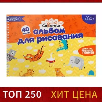 Альбом для рисования calligrata а4, 40 листов на гребне, обложка мелованный картон, блок 100 г/м