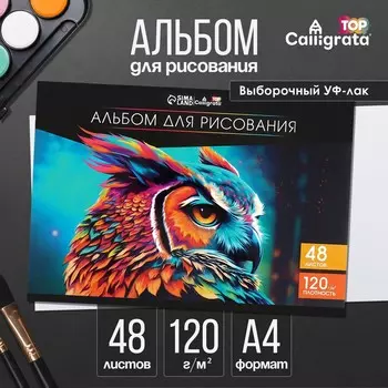 Альбом для рисования а4, 48 листов на склейке calligrata top, обложка мелованный картон, выборочный уф-лак, блок офсет 120г/м2