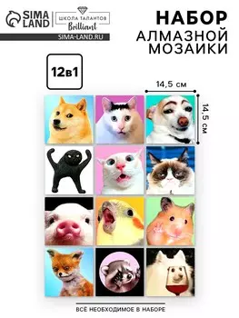 Алмазная мозаика 12 в 1