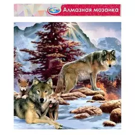 Алмазная мозаика без подрамника, частичное заполнение