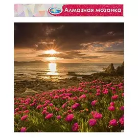 Алмазная мозаика без подрамника, частичное заполнение