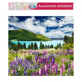 Алмазная мозаика без подрамника, частичное заполнение