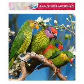 Алмазная мозаика без подрамника, частичное заполнение