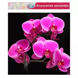 Алмазная мозаика без подрамника, частичное заполнение