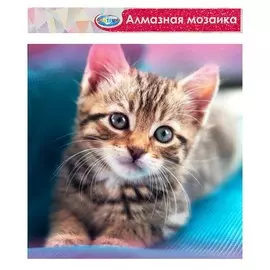 Алмазная мозаика без подрамника, частичное заполнение