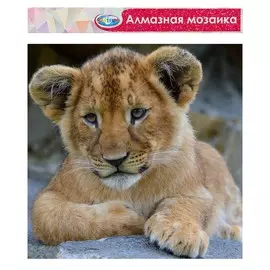 Алмазная мозаика без подрамника, частичное заполнение