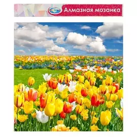 Алмазная мозаика без подрамника, частичное заполнение