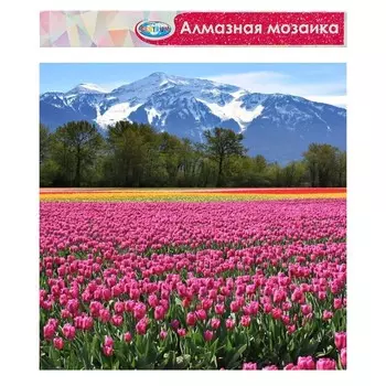 Алмазная мозаика без подрамника, частичное заполнение