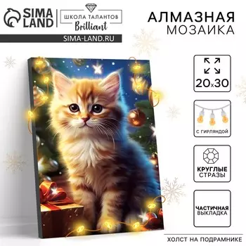 Алмазная мозаика на новый год с частичным заполнением на подрамнике