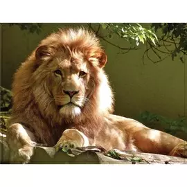 Алмазная мозаика на подрамнике с полным заполнением