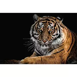 Алмазная мозаика на подрамнике с полным заполнением