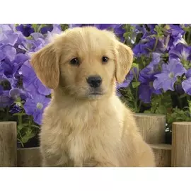 Алмазная мозаика на подрамнике с полным заполнением