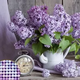 Алмазная мозаика с частичным заполнением на холсте