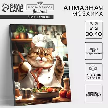 Алмазная мозаика с полным заполнением на холсте с подрамником