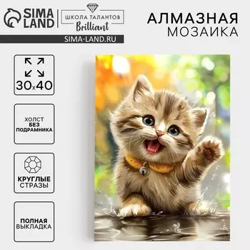 Алмазная мозаика с полным заполнением на холсте