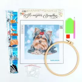 Алмазная вышивка на пяльцах