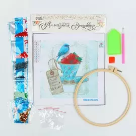 Алмазная вышивка на пяльцах