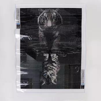 Алмазная вышивка полное заполнение