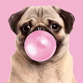 Алмазная мозаика с частичным заполнением