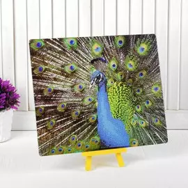 Алмазная вышивка с частичным заполнением