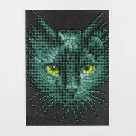 Алмазная мозаика с частичным заполнением на холсте