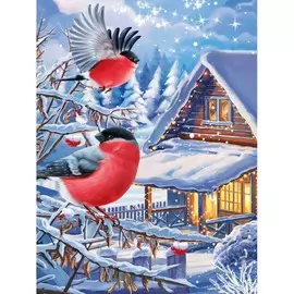 Алмазная мозаика с частичным заполнением на раме