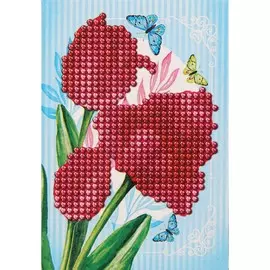 Алмазная вышивка с частичным заполнением с рамкой