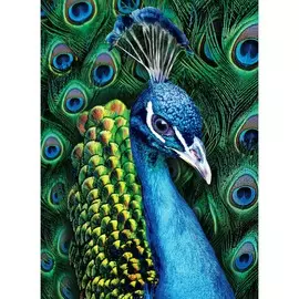 Алмазная мозаика с полным заполнением на холсте