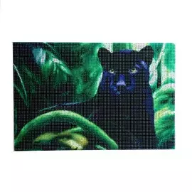 Алмазная мозаика с полным заполнением