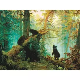 Алмазная вышивка с полным заполнением