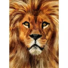 Алмазная мозаика с полным заполнением на холсте