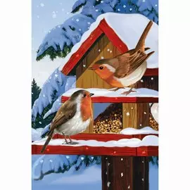 Алмазная мозаика с полным заполнением 20х30