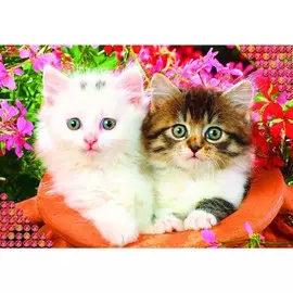 Алмазная мозаика с полным заполнением на холсте