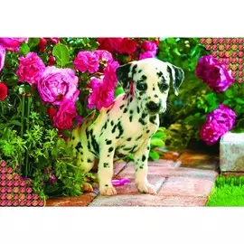 Алмазная мозаика с полным заполнением